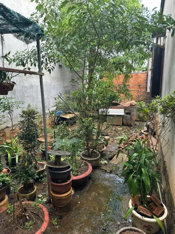 Bán Đất 104m2 có sẵn 104 m2 thổ cư giá 2.1 tỷ tại Phường Tân Thành Thành phố Buôn Ma Thuột Đắk Lắk