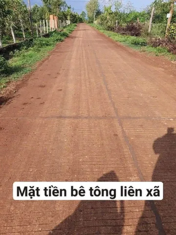 Bán Đất 520m2 giá 290 triệu tại Xã Ea M'DRóh Huyện Cư M'gar Đắk Lắk