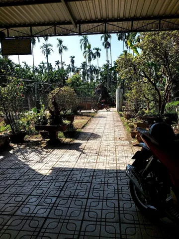 Bán Nhà riêng 140m2 có sẵn 100 m2 thổ cư giá 790 triệu tại Xã Hành Thuận Huyện Nghĩa Hành Quảng Ngãi