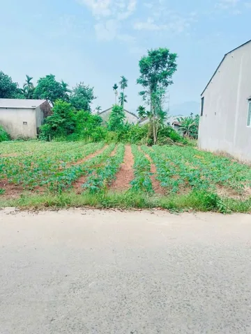 Bán Đất 200m2 có sẵn 200 m2 thổ cư giá 950 triệu tại Xã Nghĩa Kỳ Huyện Tư Nghĩa Quảng Ngãi
