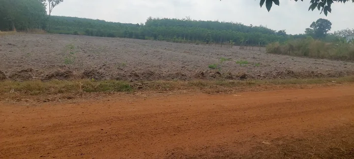 Bán Đất 2000m2 giá 595 triệu tại Đường ĐT 507 Xã Tiến Hưng Thành phố Đồng Xoài Bình Phước