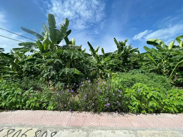 ❌❌❌ SIÊU PHẨM 293M² MẶT ĐƯỜNG 12M CHUNG CƯ CÁCH THƯỢNG, NAM SƠN – QUỸ ĐẤT ĐẸP ĐẦU TƯ SINH LỜI❌❌❌