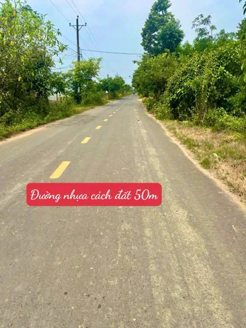 Đất thị trấn Đạ Tẻh- Lâm Đồng dt 184m2 sẵn 80m2 ở đô thị kdc đường bê tông oto tới đất giá chỉ 2xxtr