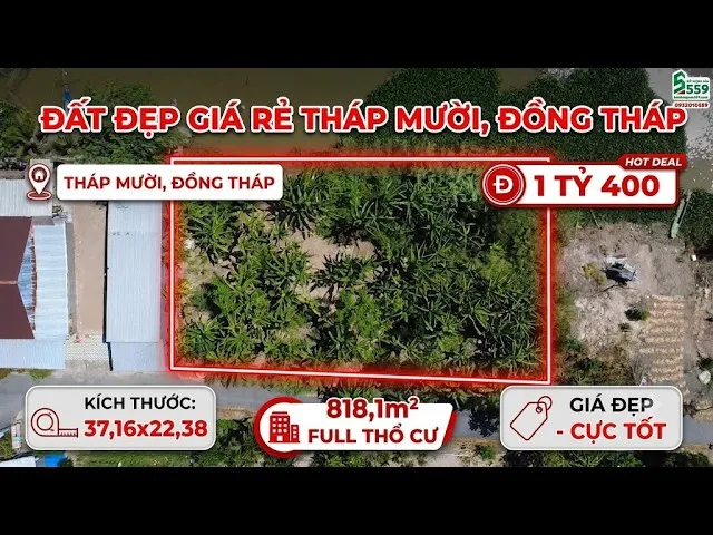 Bán đất tại Xã Hưng Thạnh, Huyện Tháp Mười, Tỉnh Đồng Tháp (Xã Phương Thịnh, Đồng Tháp mới)