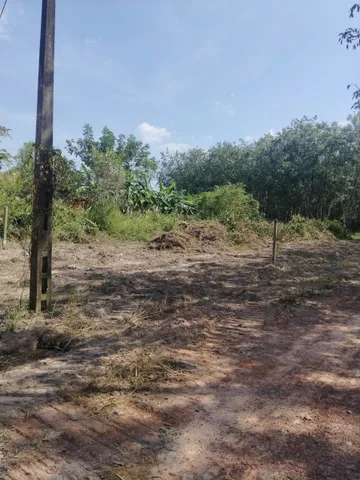 Bán Đất 545m2 có sẵn 100 m2 thổ cư giá 2 tỷ tại - Chọn - Xã Long Tân Huyện Dầu Tiếng Bình Dương