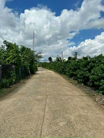 Bán Đất 271m2 có sẵn 72 m2 thổ cư giá 879 triệu tại - Chọn - Xã Tân Hội Huyện Đức Trọng Lâm Đồng