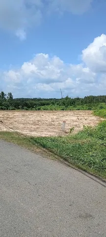 Bán Đất 1000m2 giá 2.3 tỷ tại Đường Cây Trôm Xã Thái Mỹ Huyện Củ Chi TP. Hồ Chí Minh