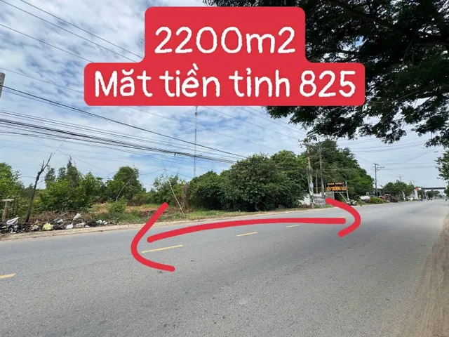 Bán Đất 2200m2 có sẵn 300 m2 thổ cư giá 13 tỷ tại Xã Hòa Khánh Đông Huyện Đức Hòa Long An