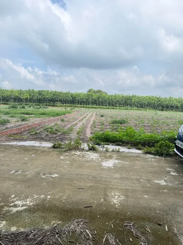 Bán Đất 240m2 có sẵn 100 m2 thổ cư giá 570 triệu tại - Chọn - Thị trấn Chơn Thành Thị xã Chơn Thành Bình Phước