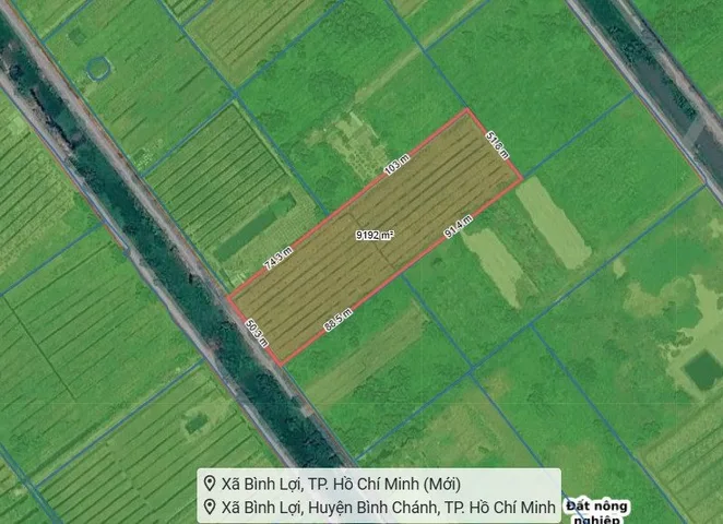 [H2732] 0.9HA ĐẤT VƯỜN THƠM BÌNH LỢI VUÔNG ĐẸP - GIÁ 27.X TỶ