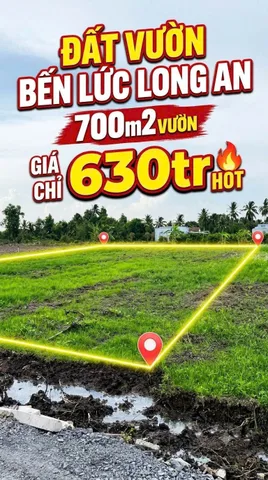 Bán Đất vườn được quy hoạch chuyển full thổ cư ngay trung tâm xã Thạnh Hòa ( cũ) 700m2 giá 630 triệu