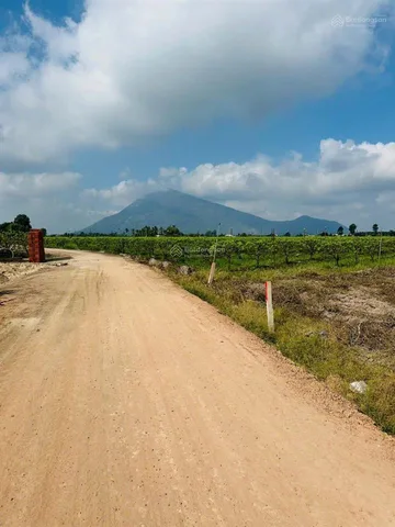 Đất đẹp ấp Trà Sim, xã Ninh Điền – 5.486m² có 320m² đất ở, ngang 31m, giá chỉ 10,2 tỷ