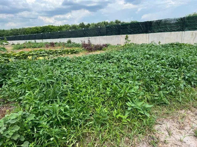 Quỹ đất hơn 7.000m² tại Trà Sim, Ninh Điền – Hàng đẹp cho khách đầu tư