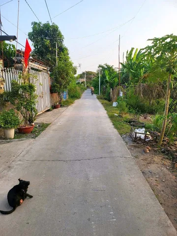 Bán Đất 300m2 có sẵn 300 m2 thổ cư giá 5.3 tỷ tại - Chọn - Xã Tân Quý Tây Huyện Bình Chánh TP. Hồ Chí MinhCẦN BÁN 300M2 ĐẤT THỔ CƯ HẺM THÔNG XE HƠI