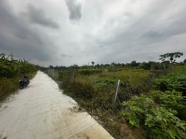 Bán Đất 1000m2 giá 9.9 tỷ tại Xã Bình Chánh Huyện Bình Chánh TP. Hồ Chí Minh