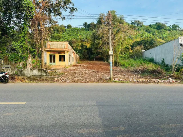 Bán nhanh mặt tiền đường lớn Hương lộ 2, sát ủy ban có sẵn vườn cây ăn trái 730m2 có thổ cư giá 3 tỷ 2