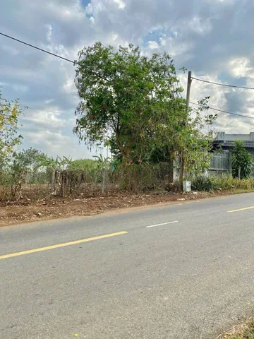 Bán nhanh đất mặt tiền đường nhựa lớn gần Hồ Đá Bàng 833m2 có sẵn 100 m2 thổ cư giá nét 2.99 tỷ