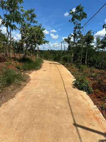 Bán Đất 900m2 giá 290 triệu tại - Chọn - Xã Đắk Wer Huyện Đắk R'Lấp Đắk Nông