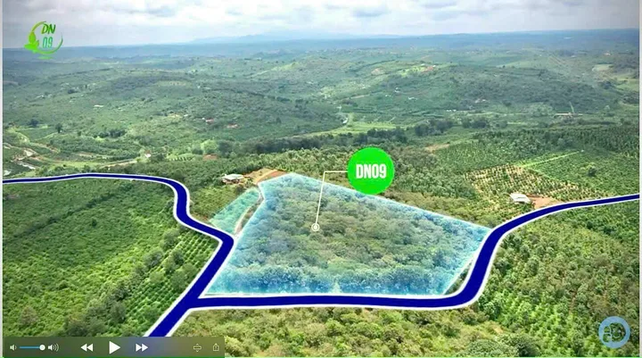 Bán Đất 1008m2 giá 350 triệu tại - Chọn - Xã Quảng Tân Huyện Tuy Đức Đắk Nông