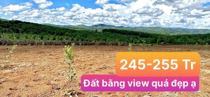 Bán Đất 2000m2 giá 700 triệu tại - Chọn - Xã Quảng Tín Huyện Đắk R'Lấp Đắk Nông