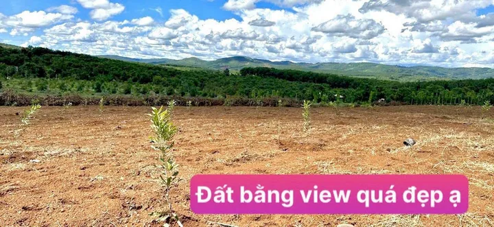 Bán Đất 1000m2 giá 300 triệu tại - Chọn - Xã Quảng Tín Huyện Đắk R'Lấp Đắk Nông