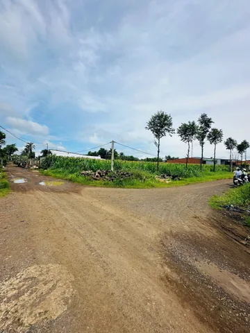Bán Đất 149.2m2 có sẵn 100 m2 thổ cư giá 650 triệu tại Xã Ea Bar Huyện Buôn Đôn Đắk Lắk
