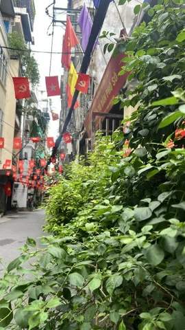 Sợ mua nhà dính quy hoạch? Hãy xem phân lô Lê Trọng Tấn 59m² thang máy (16.3 tỷ)