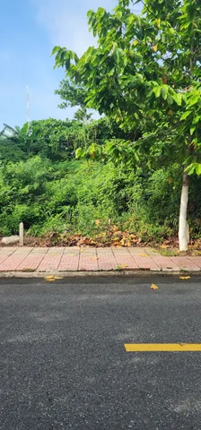 Bán Đất 100m2 có sẵn 100 m2 thổ cư giá 1.45 tỷ tại - Chọn - Thị trấn Tân Hòa Huyện Gò Công Đông Tiền Giang