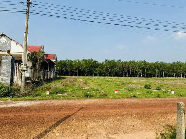 Bán Căn hộ chung cư 1389m2 giá 1.45 tỷ tại Đường Tự Do Xã Long Hoà Huyện Dầu Tiếng Bình Dương