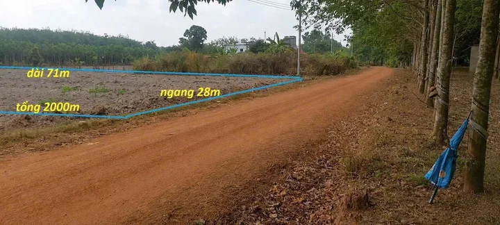 Bán Đất 2000m2 Phường Đồng Xoài, Đường rộng 12m - Liền kề cụm KCN Tiến Hưng - Tiến Thành