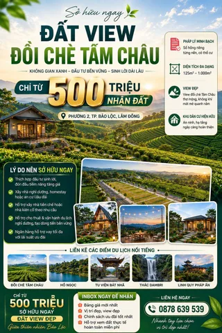 🌿 ĐẤT VIEW ĐỒI CHÈ TÂM CHÂU – CHỈ TỪ 500 TRIỆU NHẬN ĐẤT 🌿