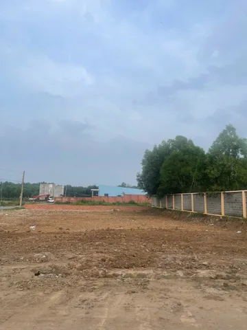 🔥 ĐẤT ĐẸP PHƯỚC HẢI - CHỈ 200M RA ĐƯỜNG VEN BIỂN - CÁCH BIỂN 2KM - GIÁ CHỈ 1 TỶ 539
