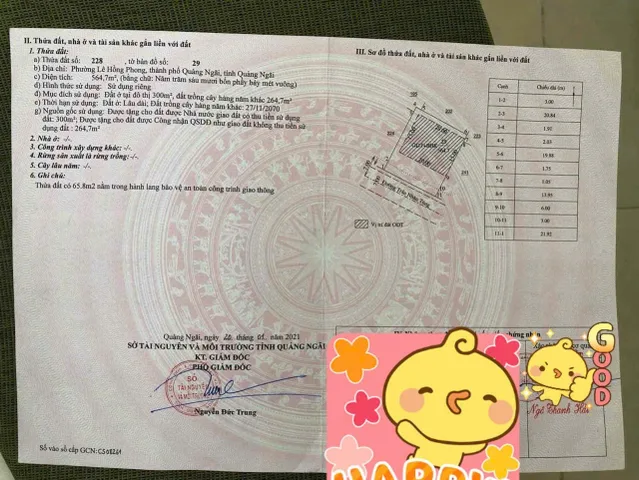 BÁN NHÀ VƯỜN SÁT CẦU TRÀ KHÚC VIEW CÔNG VIÊN BA TƠ