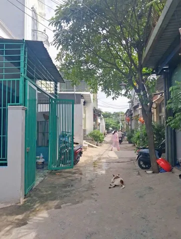 Bán Nhà riêng 48m2 có sẵn 48 m2 thổ cư giá 1.55 tỷ tại Đường Lê Thị Ngay Xã Vĩnh Lộc A Huyện Bình Chánh TP. Hồ Chí Minh