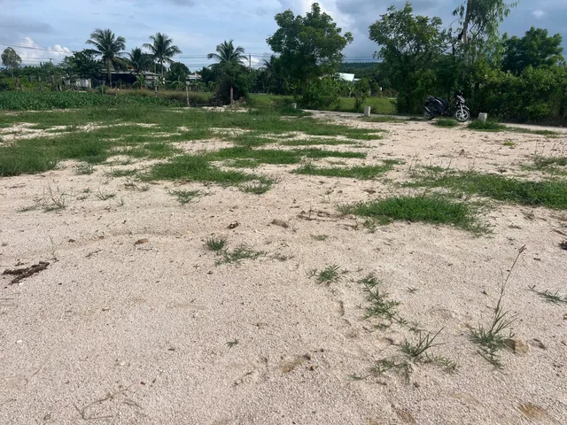0938113403 Bán Đất 175.7m2 có sẵn 175.7 m2 thổ cư giá 330 triệu tại Xã Ninh Xuân Thị xã Ninh Hòa Khánh Hòa Z713