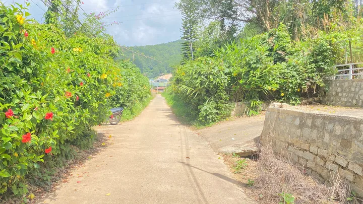 2 sào hẻm đường đèo Mimosa đà lạt, gần cây xăng phúc sơn