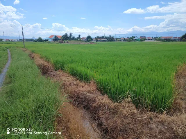 0938113403 Bán Đất 195m2 có sẵn 195 m2 thổ cư giá 380 triệu tại Xã Ninh Quang Thị xã Ninh Hòa Khánh Hòa Z710