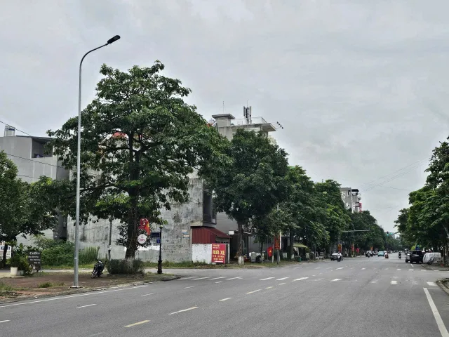 Bán nhà 4.5 tầng lô góc mặt đường âu cơ và nguyễn thị minh khai khu y na kinh bắc. Kinh doanh tốt. Diện tích 166m mặt tiền 20m hướng tây bắc & tây nam. Phường kinh bắc tỉnh bắc ninh