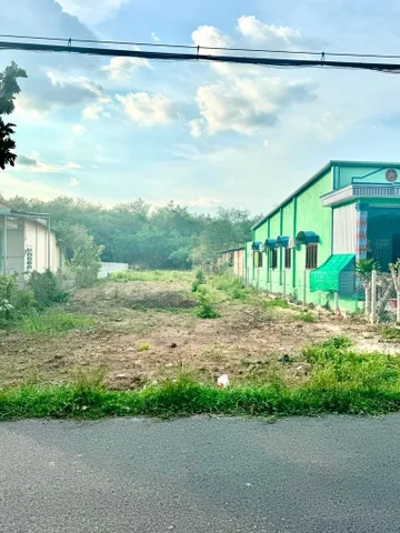 Bán Đất 1300m2 có sẵn 350 m2 thổ cư giá 6.5 tỷ tại - Chọn - Xã Phạm Văn Cội Huyện Củ Chi TP. Hồ Chí Minh
