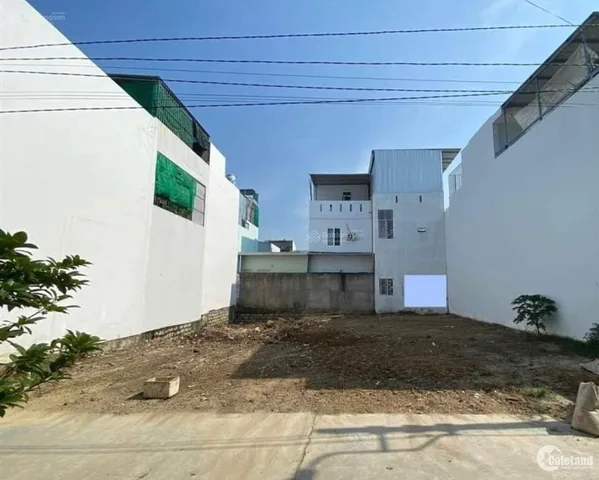 Bán Đất 300m2 có sẵn 300 m2 thổ cư giá 14.8 tỷ tại Đường Phan Văn Đối Xã Bà Điểm Huyện Hóc Môn TP. Hồ Chí Minh
