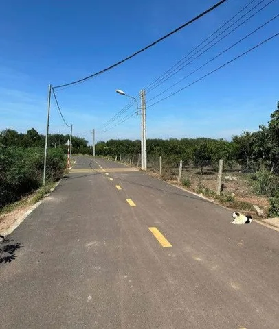🔥 ĐẤT FULL THỔ CƯ THÀNH PHỐ.ĐỒNG NAI – 169M² – GIÁ CHỈ 800 TRIỆU 🔥BỚT LỘC CHO KHÁCH THIỆN CHÍ - CHỦ KẸT TIỀN BÁN RẺ NHANH TRONG THÁNG.