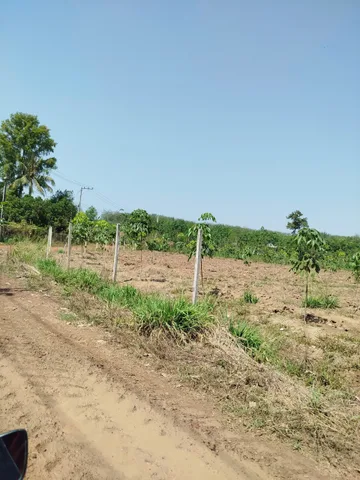Bán Đất 4000m2 giá 515 triệu tại Xã An Thái Huyện Phú Giáo Bình Dương