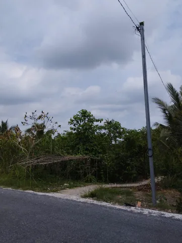 Bán Đất 14000m2 giá 7.8 tỷ tại  Trường Long Tây Cần Thơ