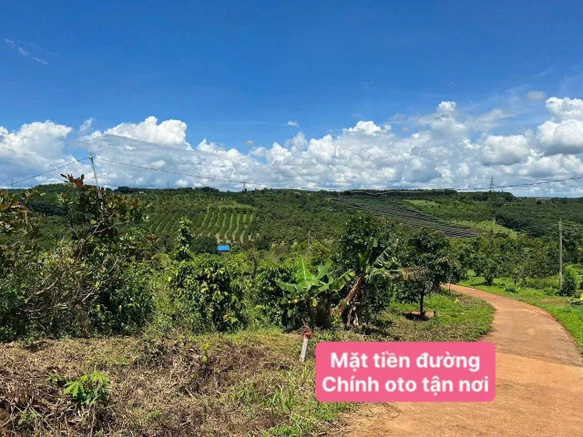 Bán Đất 5116m2 có sẵn 800 m2 thổ cư giá 1.8 tỷ tại - Xã Đắk Sin Huyện Đắk R'Lấp Đắk Nông