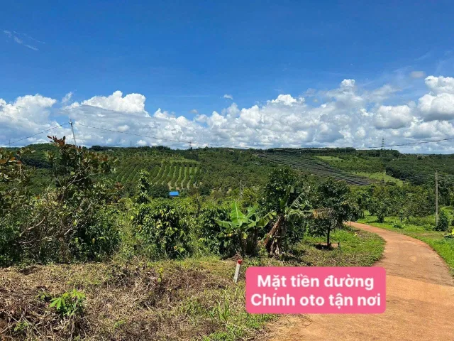 Bán Đất 2500m2 có sẵn 400 m2 thổ cư giá 900 triệu tại - Chọn - Xã Đắk Sin Huyện Đắk R'Lấp Đắk Nông