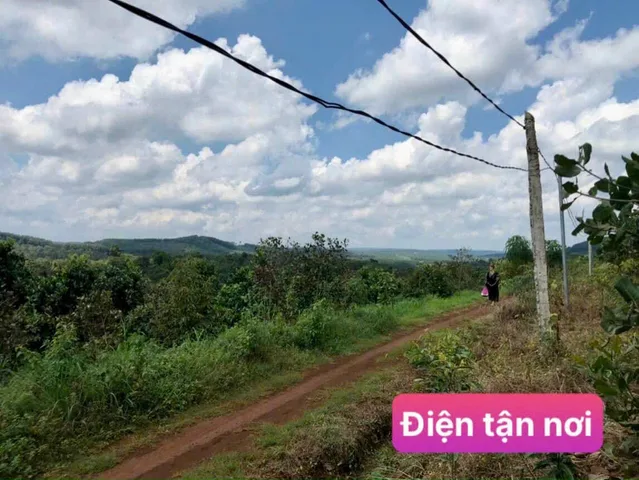 Bán Đất 1100m2 giá 350 triệu tại - Chọn - Xã Đắk Ru Huyện Đắk R'Lấp Đắk Nông