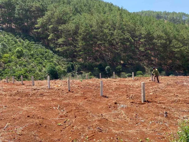 1965m2 có sẵn 300 m2 thổ cư giá 3.35 tỷ tại - Thị trấn Nam Ban Huyện Lâm Hà Lâm Đồng