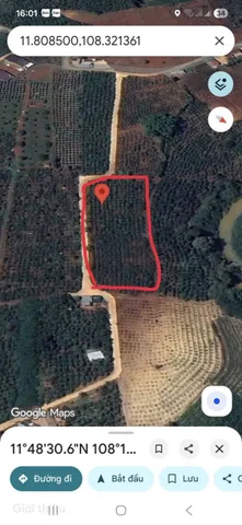 Bán Đất 4000m2 giá 3.6 tỷ tại - Chọn - Xã Gia Lâm Huyện Lâm Hà Lâm Đồng
