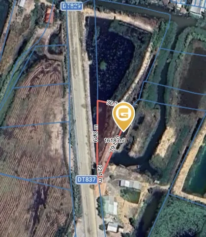 Bán Đất 8000m2 giá 16.5 tỷ tại Đường Tỉnh 837 Thị trấn Tân Thạnh Huyện Tân Thạnh Long An
