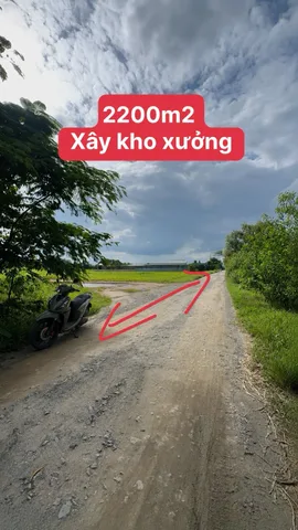 Bán Đất 1000m2 có sẵn 300 m2 thổ cư giá 3.1 tỷ tại Xã Đức Hòa Hạ Huyện Đức Hòa Long An